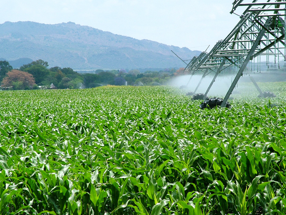 Anuncia gobierno federal cinco acciones para fortalecer el campo