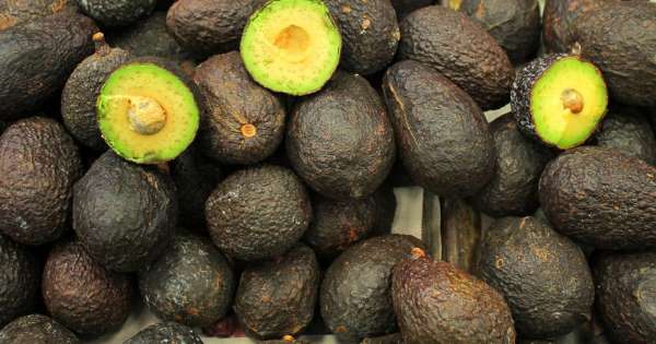 Aguacate, algodón y más: China reducirá aranceles a algunos productos mexicanos