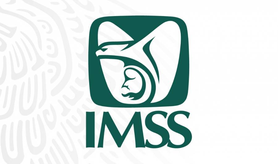 Tijuana la ciudad del empleo Baja California IMSS diciembre 2020