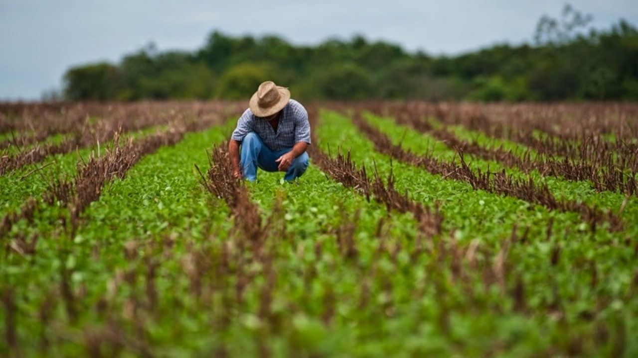 Agroindustriales de EU advierten que relación con México se está deteriorando