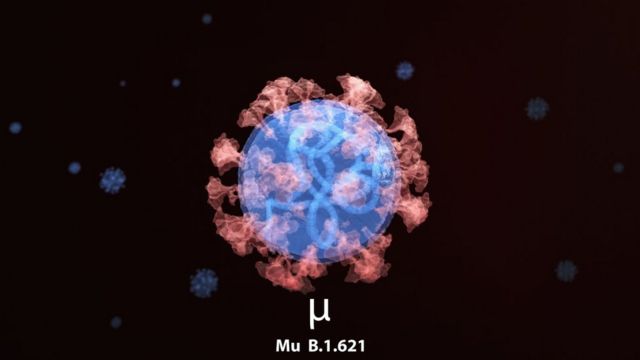 Variante Mu de covid está en México; no es más transmisible o virulenta, afirma Ssa
