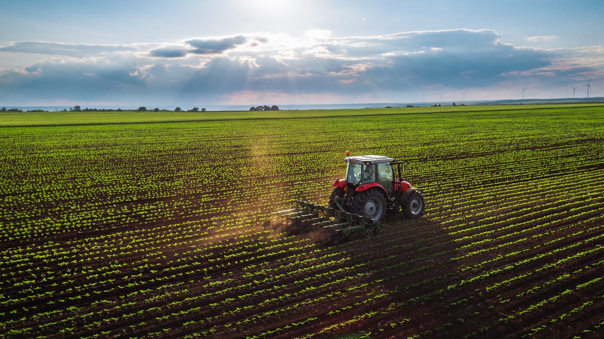 México, séptimo exportador agrícola del mundo: Sader