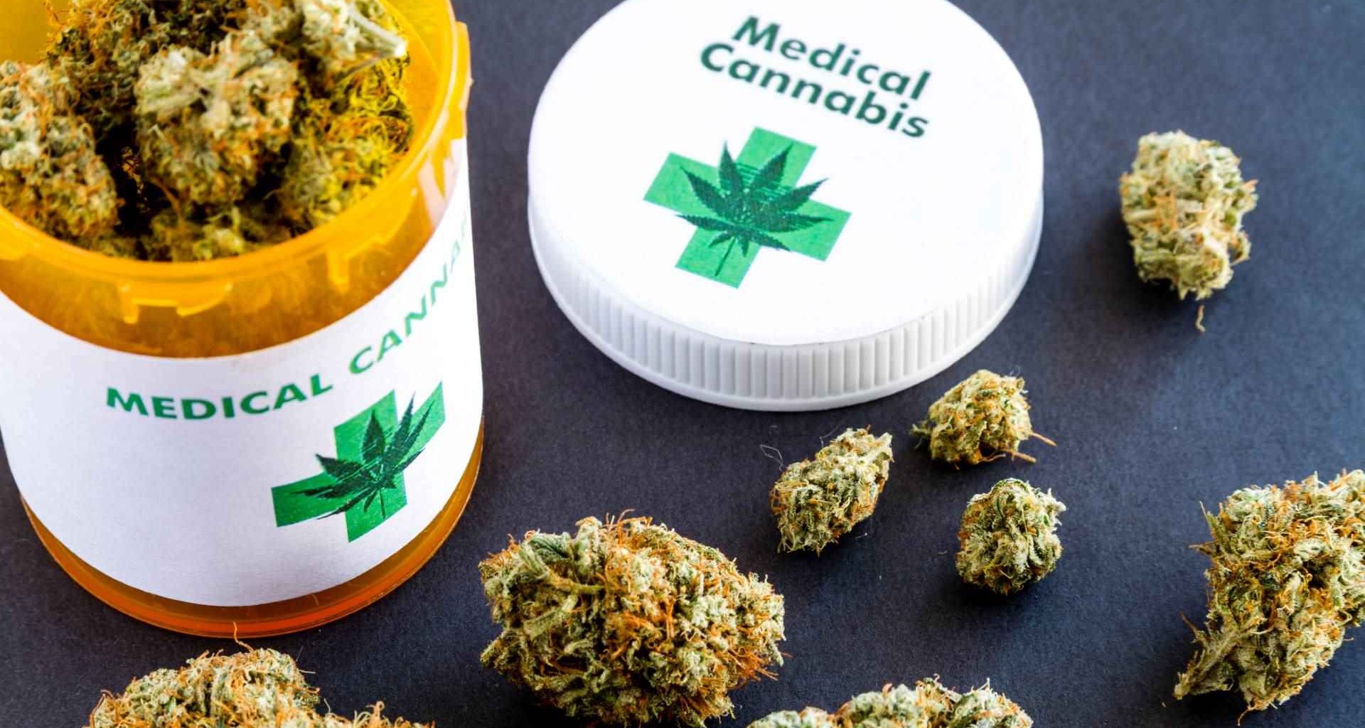 La industria del cannabis medicinal alcanzó los 170 mdd en América Latina en 2021