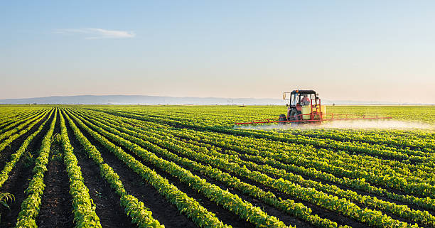 Agricultores en Ucrania piden liberar las exportaciones de trigo