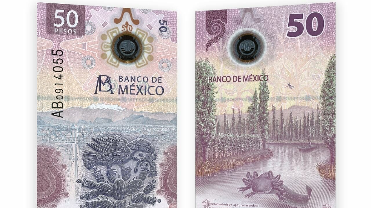 Tiene México el billete más bonito del mundo: el del ajolote