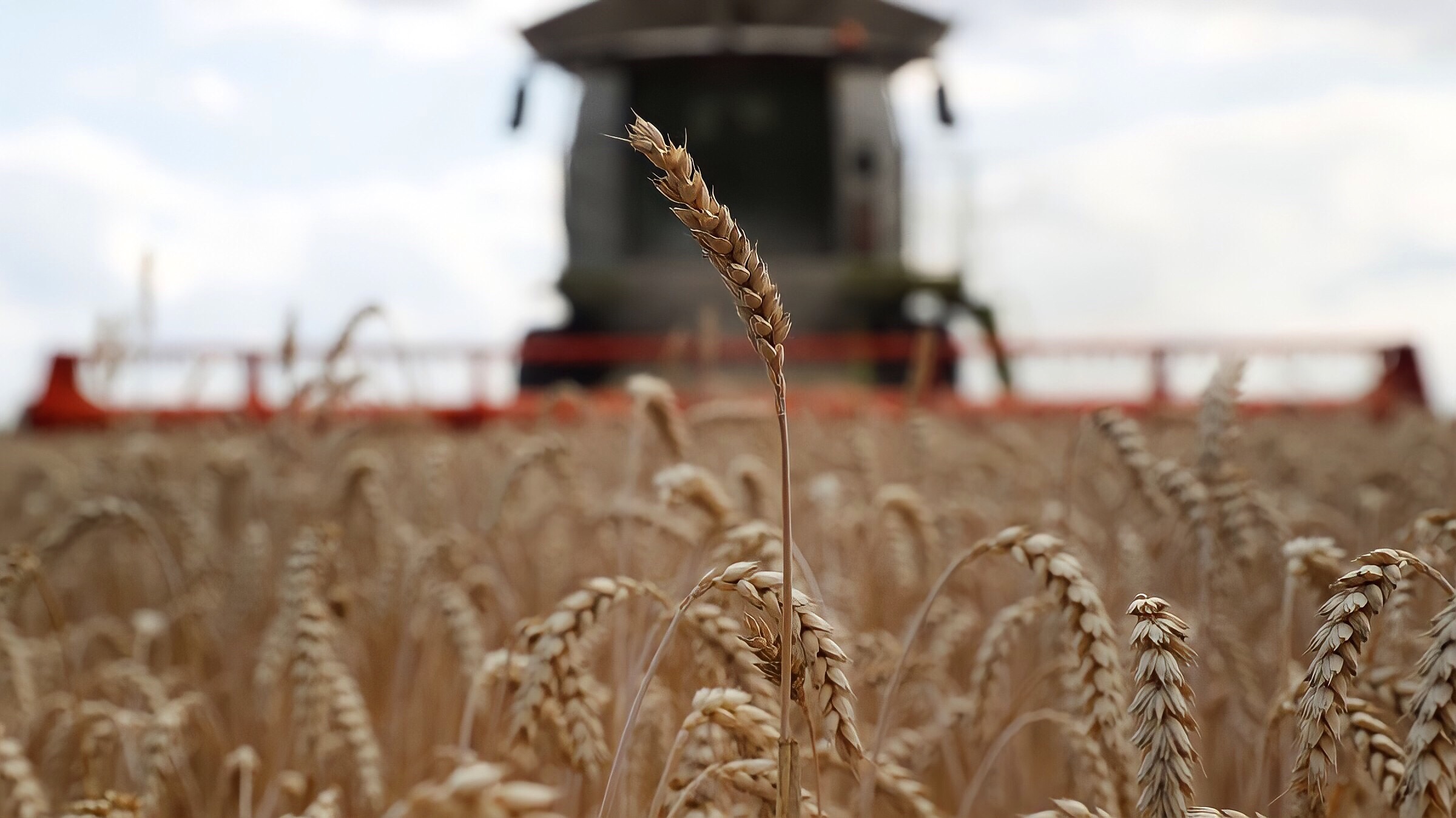 Programa Mundial de Alimentos de la ONU, optimista sobre acuerdo de exportación de grano a Ucrania